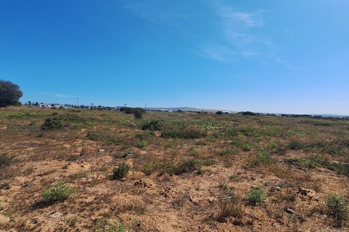 A Perfect Start to Your Smallholding Dream! - Photo 4