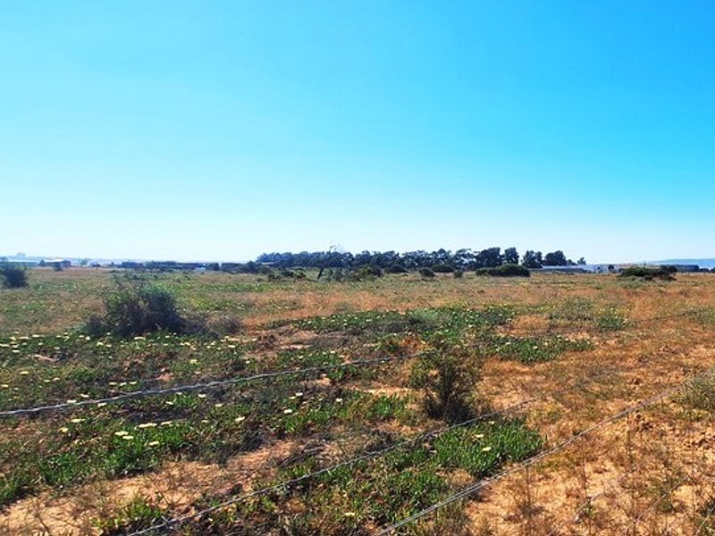 A Perfect Start to Your Smallholding Dream! - Photo 7