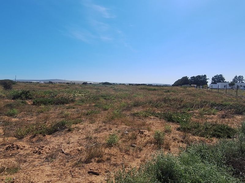 A Perfect Start to Your Smallholding Dream! - Photo 6