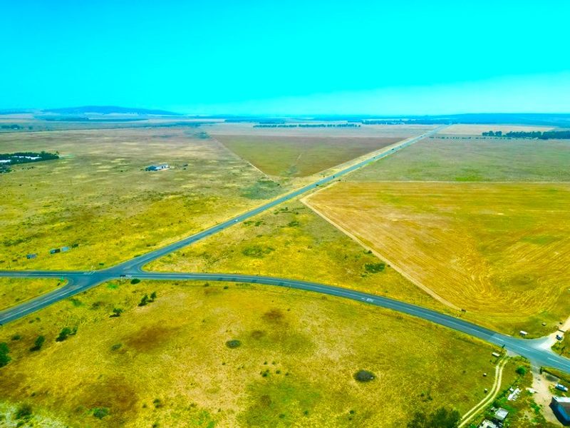 Golden Opportunity on the West Coast – Prime 2.7ha Agricultural Land! - Photo 5