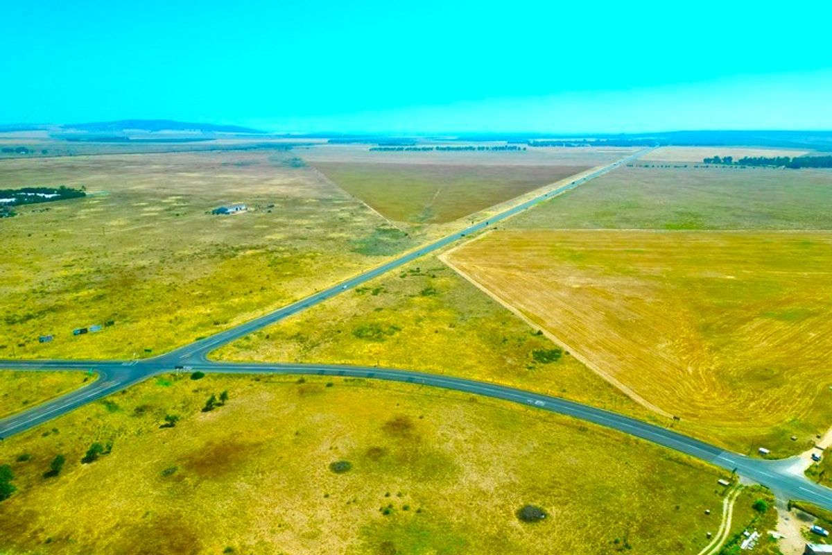 Golden Opportunity on the West Coast – Prime 2.7ha Agricultural Land! - Photo 5