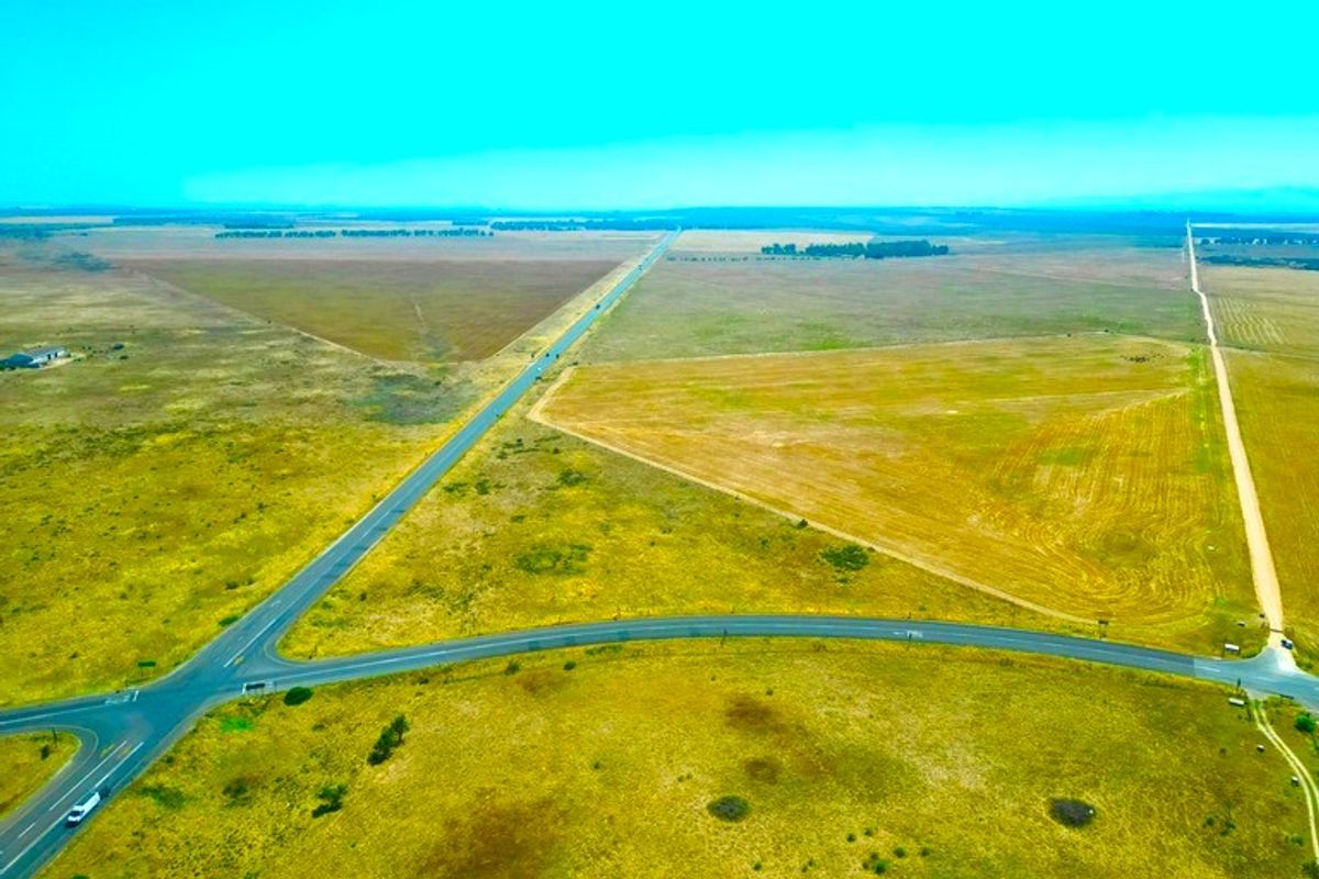 Golden Opportunity on the West Coast – Prime 2.7ha Agricultural Land! - Photo 2