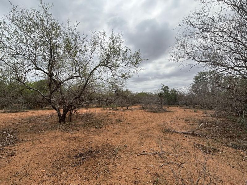 Vacant land bordering Parkland - Photo 5