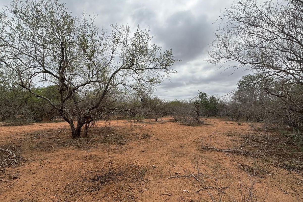 Vacant land bordering Parkland - Photo 5