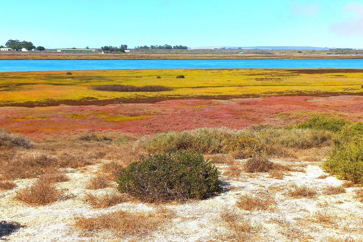 Prime Waterfront Plot for Sale – Admiral Island, Port Owen (Velddrif) - Photo 3