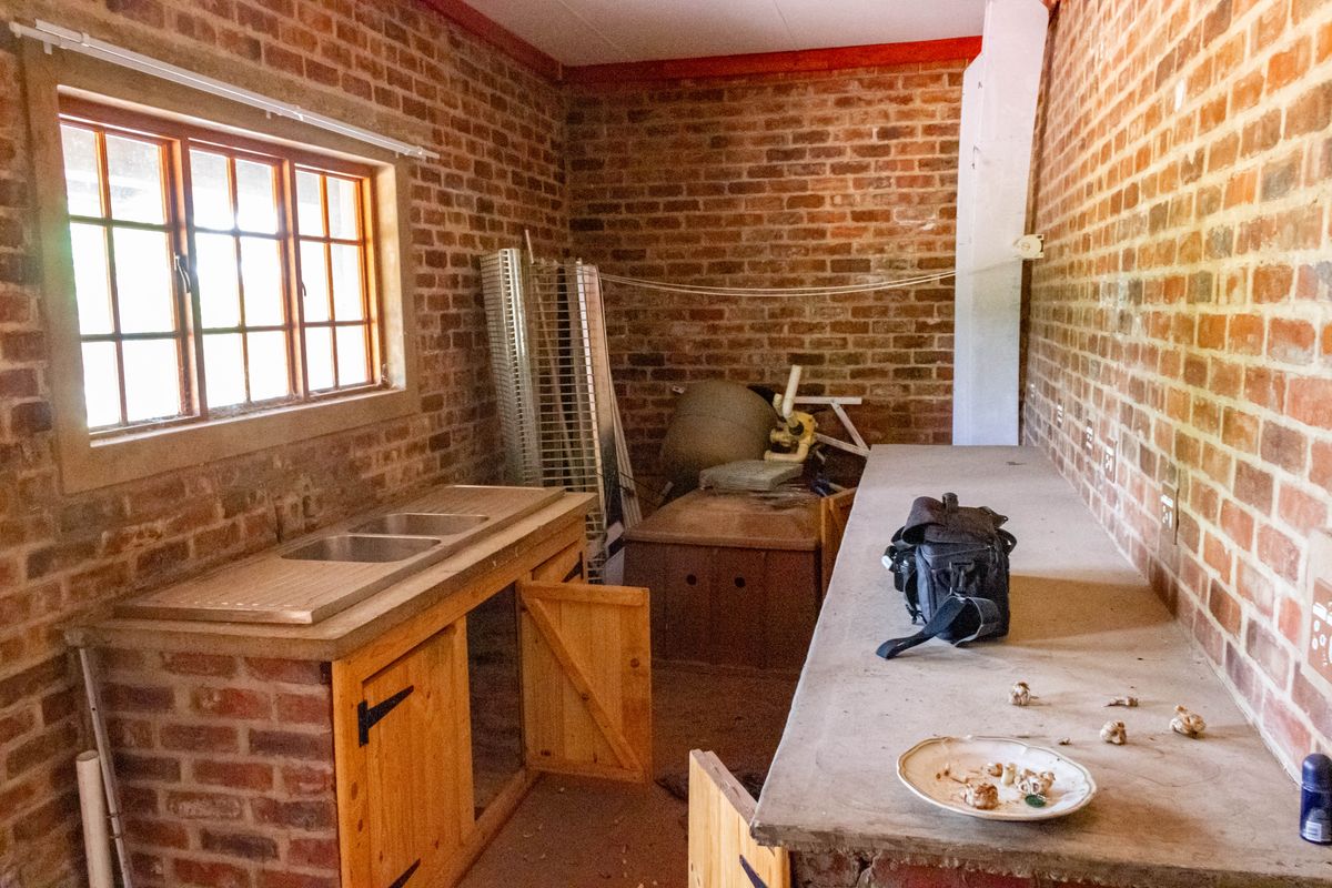 Farm in Heatherdale AH, Akasia - perfect for those seeking country living within reach of the city. - Photo 3