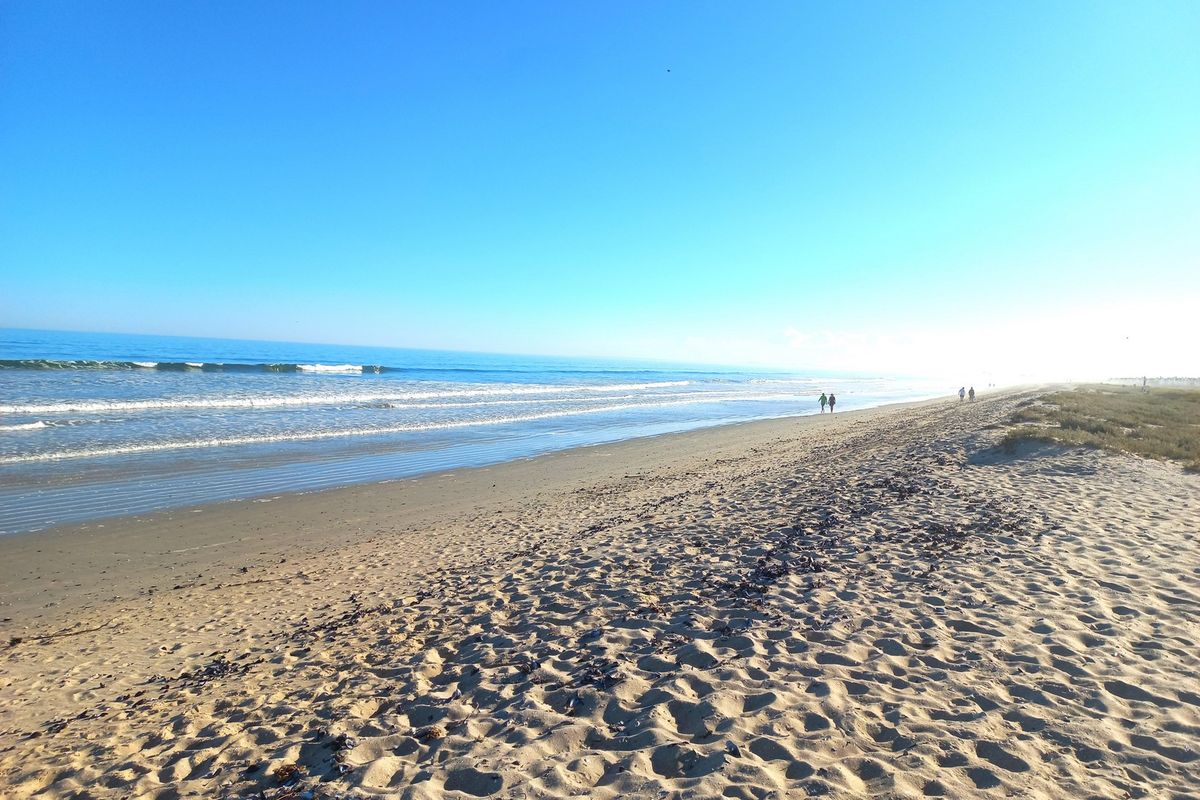 Prime Vacant Stand for Sale in Dwarskersbos  - R2 090 000 - Photo 4