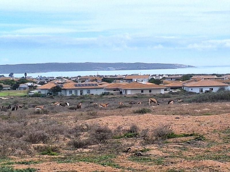 Vacant land with stunning lagoon views in Langebaan Country Estate - Photo 8