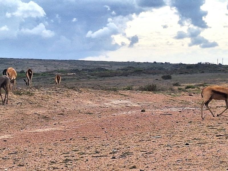 Vacant land with stunning lagoon views in Langebaan Country Estate - Photo 9