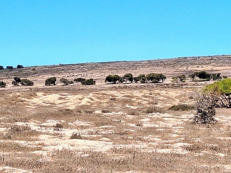 Vacant land with stunning lagoon views in Langebaan Country Estate - Photo 2