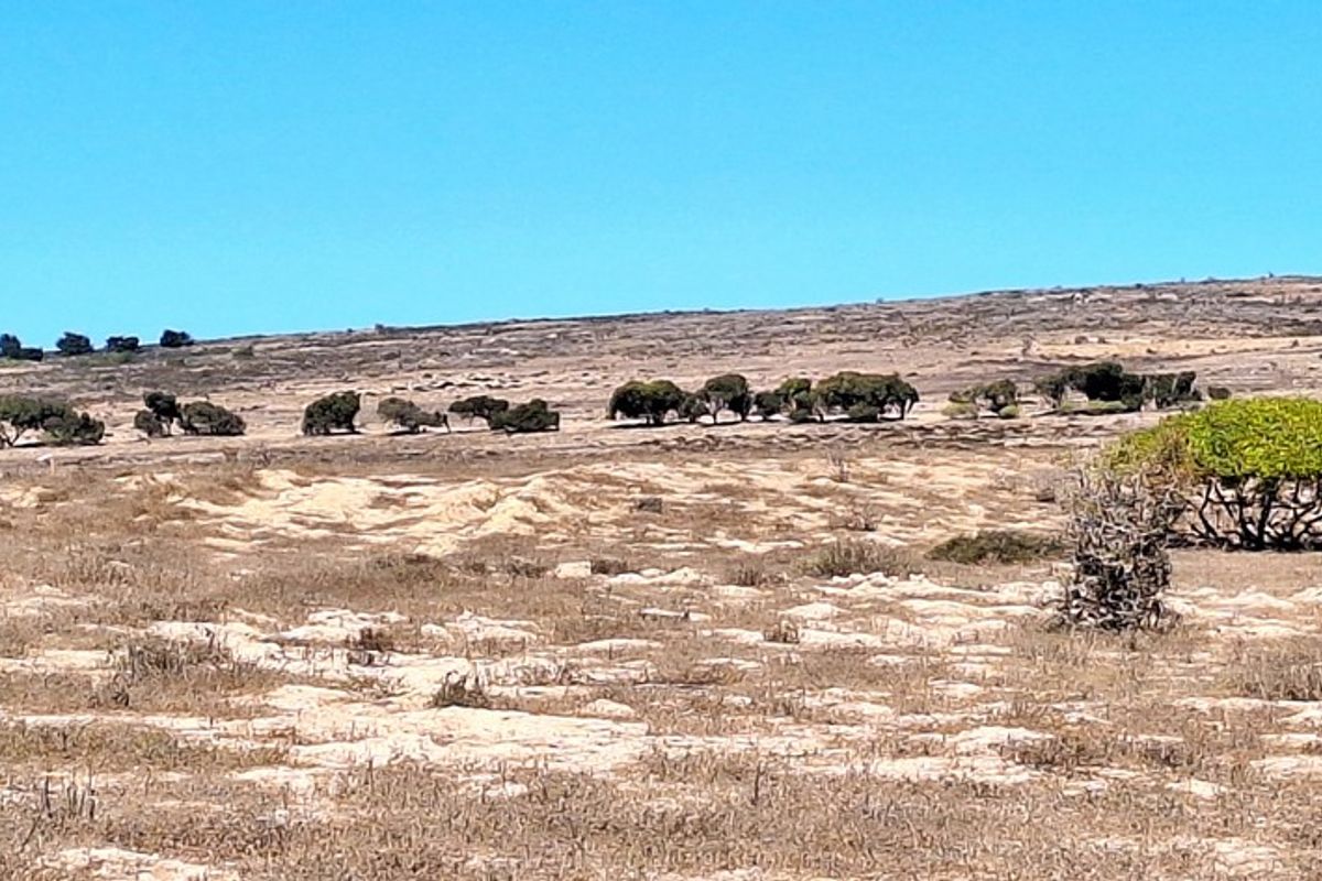 Vacant land with stunning lagoon views in Langebaan Country Estate - Photo 2