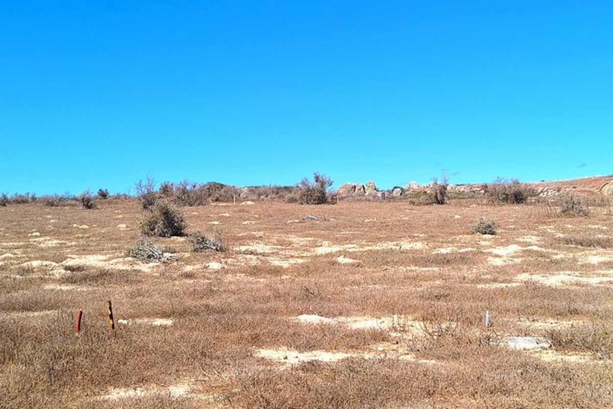 Vacant land with stunning lagoon views in Langebaan Country Estate - Photo 4