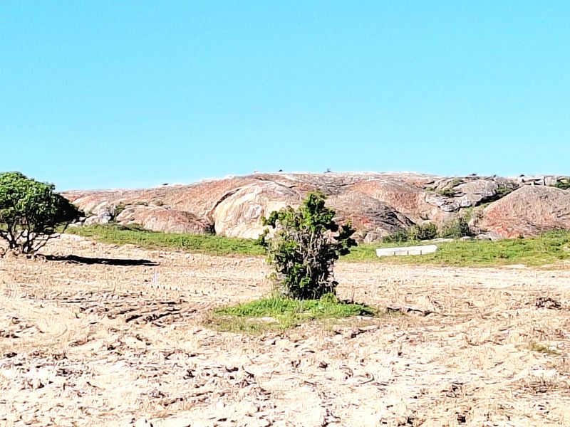 Vacant land with stunning lagoon views in Langebaan Country Estate - Photo 5