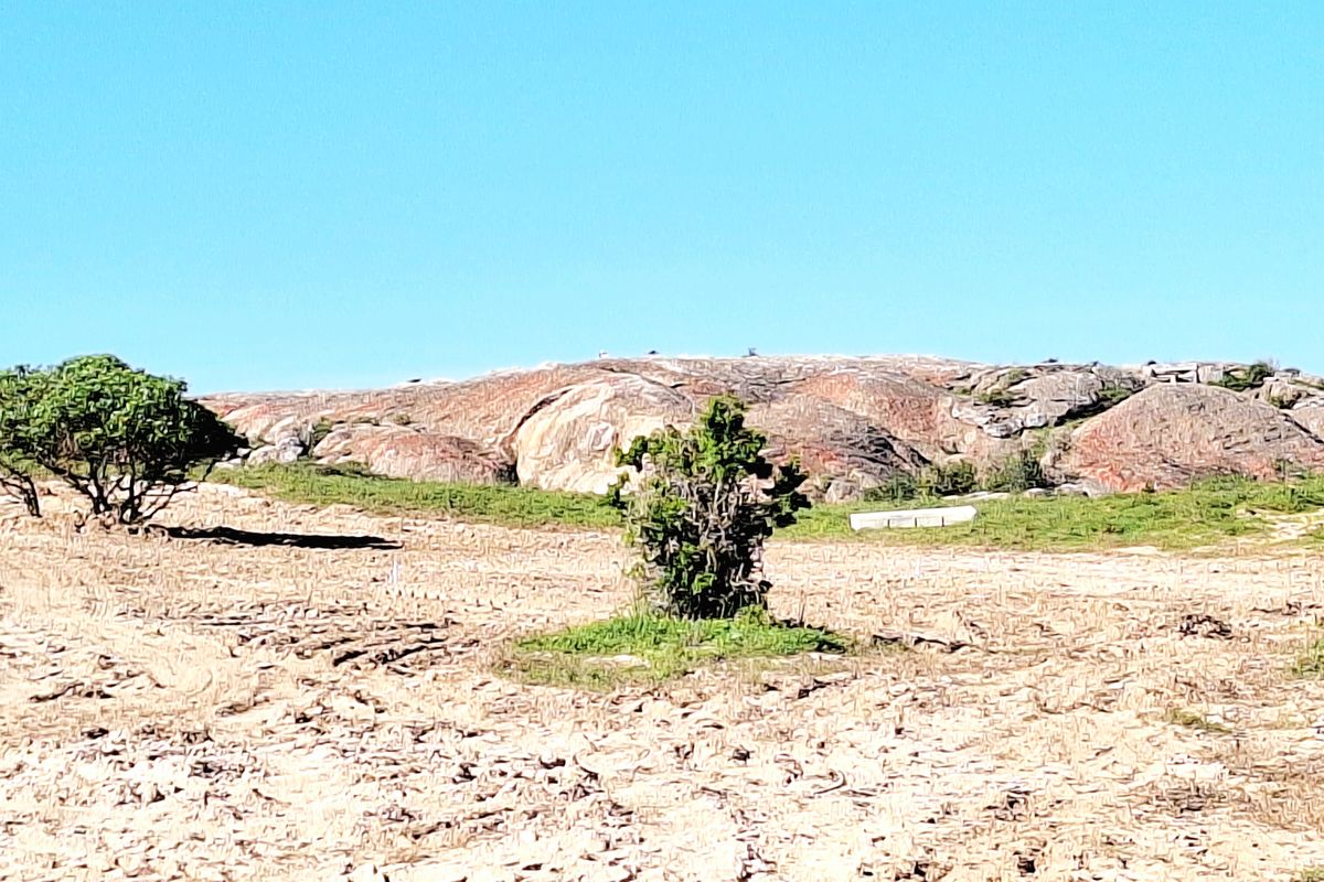 Vacant land with stunning lagoon views in Langebaan Country Estate - Photo 5