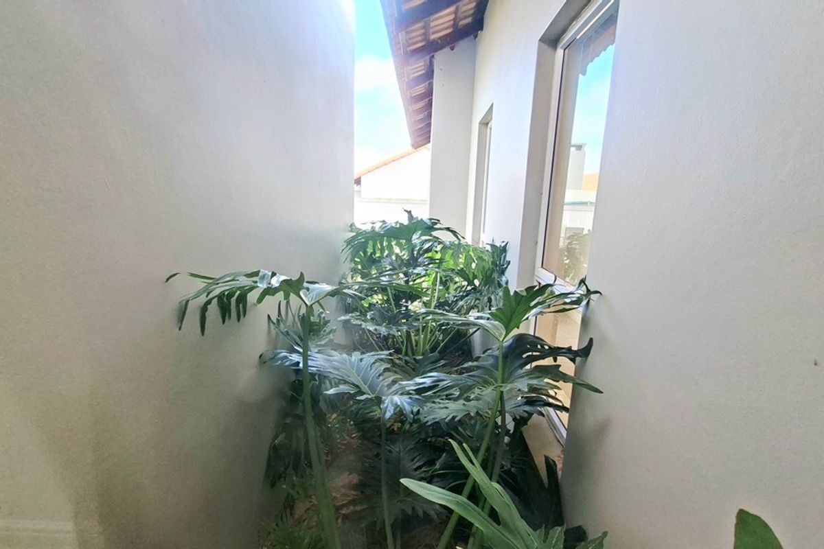 A narrow side passage or exterior walkway between two building walls, featuring a small garden area with established foliage.