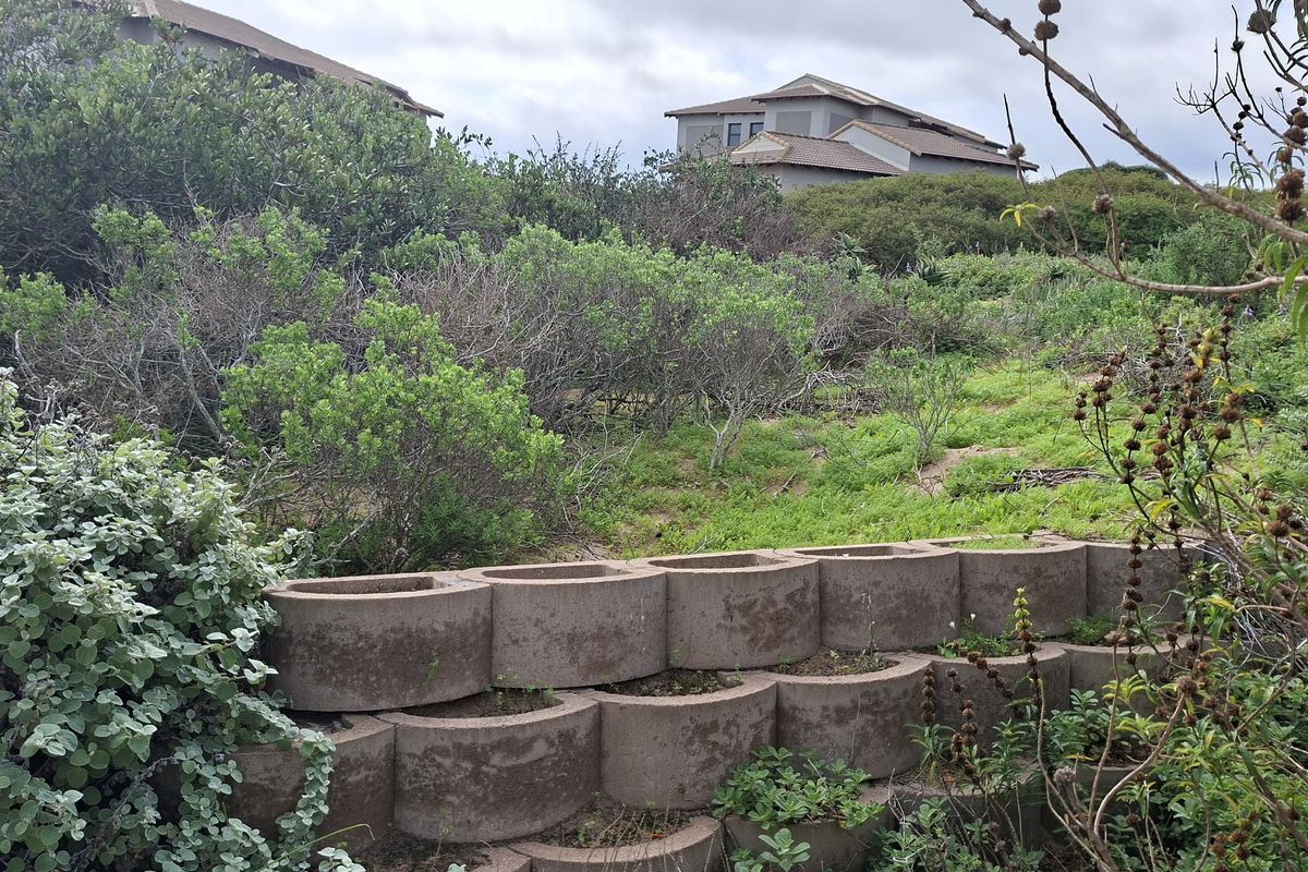Modern three bedroom home with Seamless Indoor-Outdoor Living in Langebaan Country Estate - Photo 3