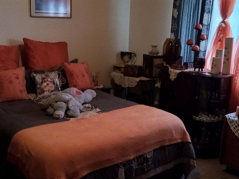 Stone’s Throw from Hennenman High | Picture-Perfect Garden & Income-Generating Flatlet - Photo 8