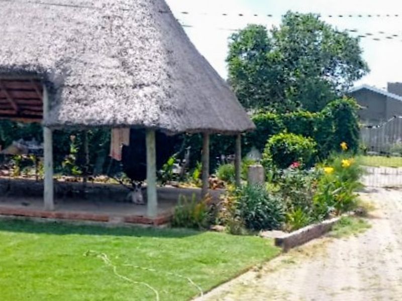 Spacious Family Home with Income-Generating Flat – Hennenman - Photo 2