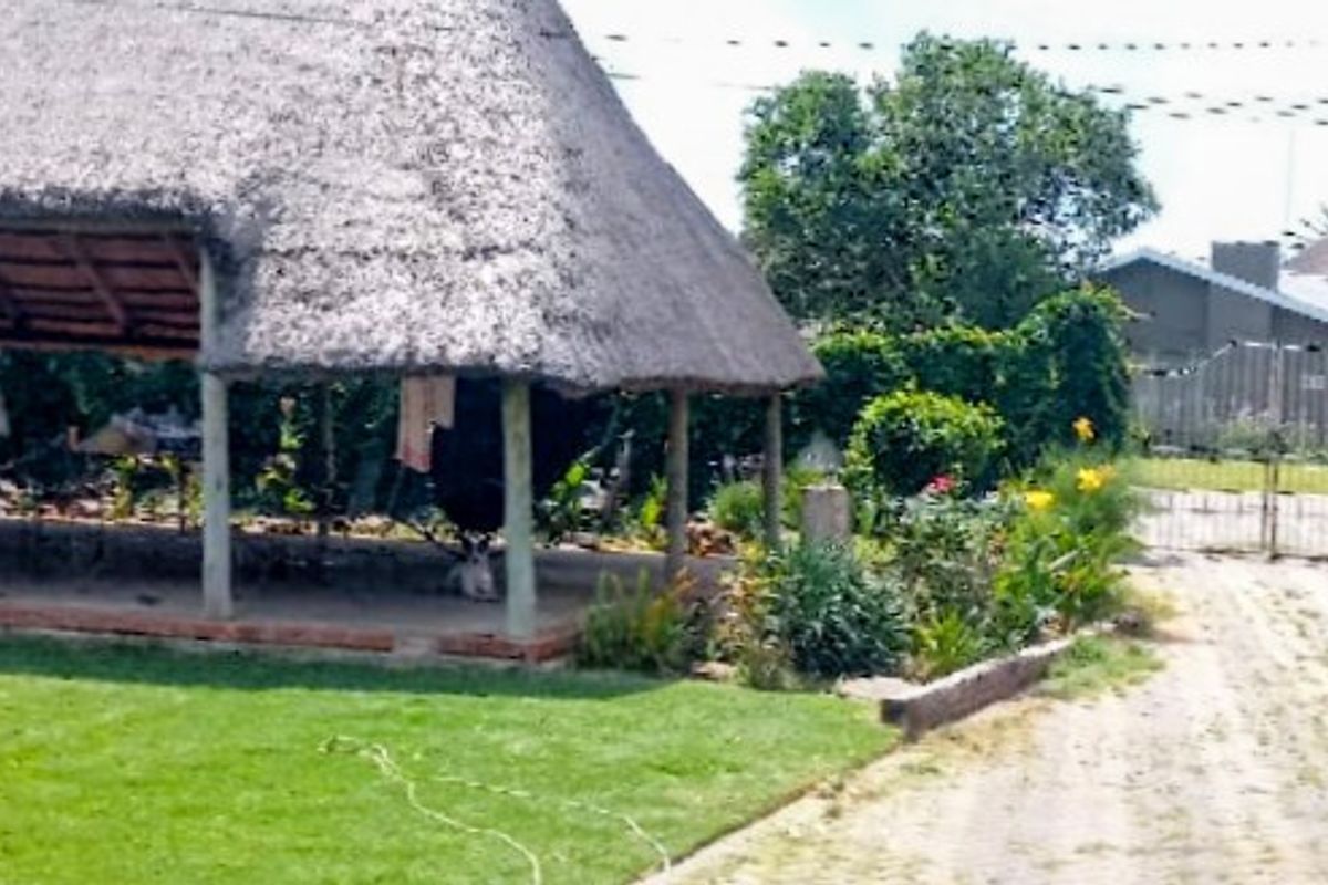 Spacious Family Home with Income-Generating Flat – Hennenman - Photo 2