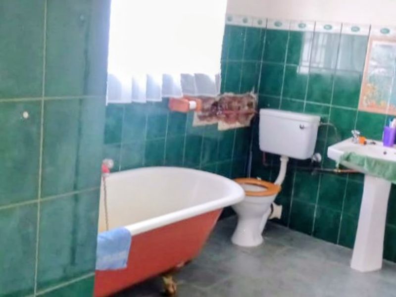 Spacious Family Home with Income-Generating Flat – Hennenman - Photo 10