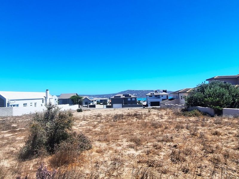 A vacant residential plot featuring dry vegetation, surrounded by established neighborhood homes and boundary walls.