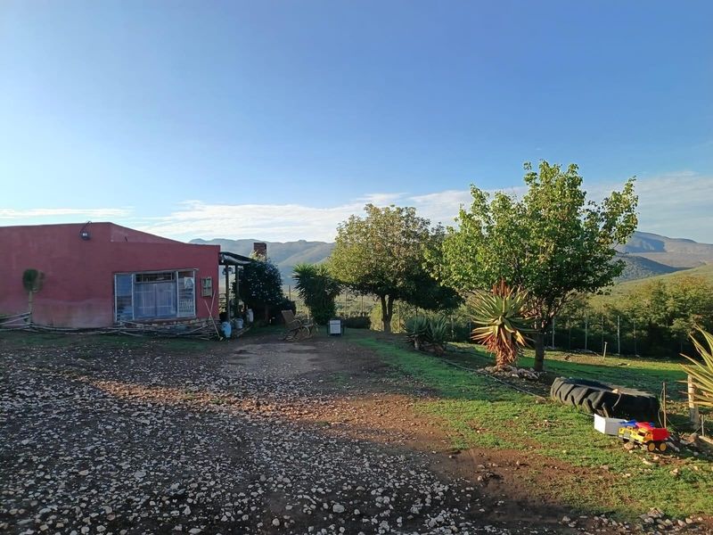 This could be Your Slice of Heaven  in the Klein Karoo - Photo 5