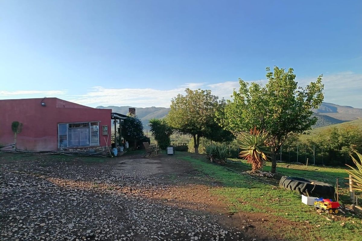 This could be Your Slice of Heaven  in the Klein Karoo - Photo 5