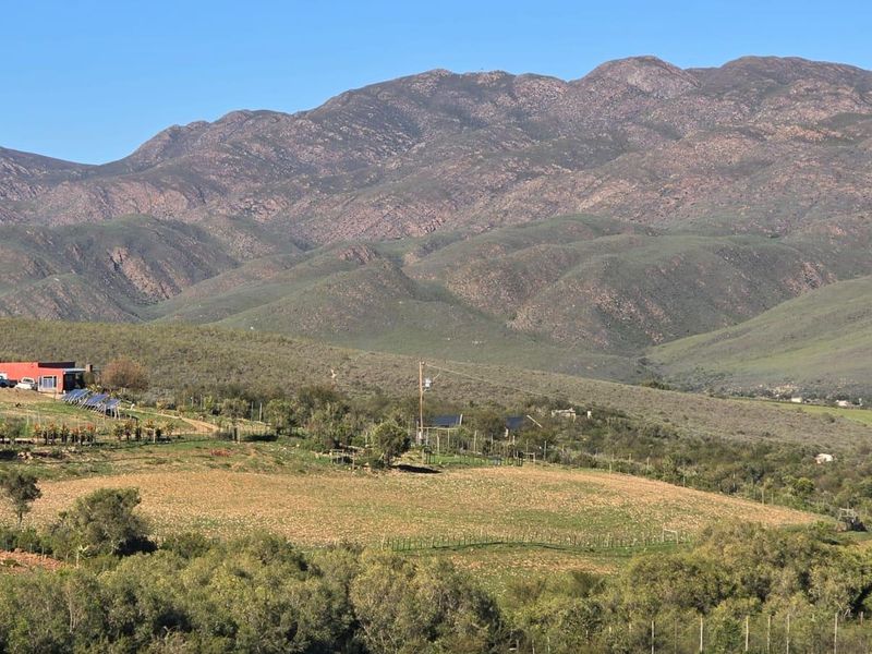 This could be Your Slice of Heaven  in the Klein Karoo - Photo 4