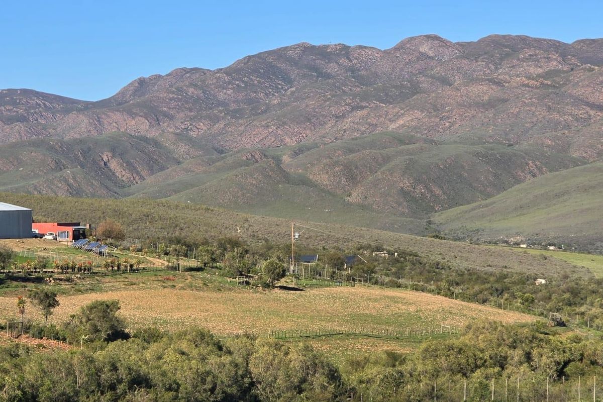 This could be Your Slice of Heaven  in the Klein Karoo - Photo 4