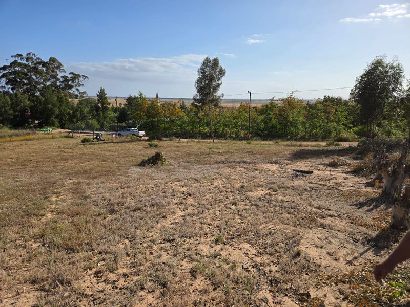 Beautiful Vacant Stand for Sale in Aurora – West Coast - Photo 2