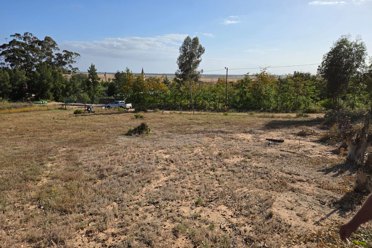 Beautiful Vacant Stand for Sale in Aurora – West Coast - Photo 2