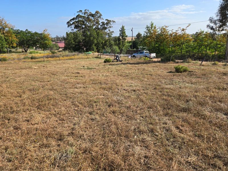 Beautiful Vacant Stand for Sale in Aurora – West Coast - Photo 3