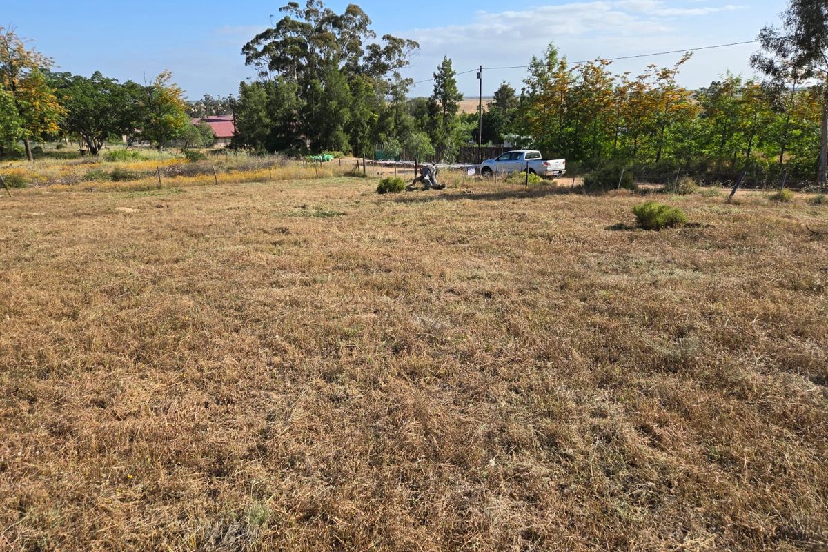 Beautiful Vacant Stand for Sale in Aurora – West Coast - Photo 3
