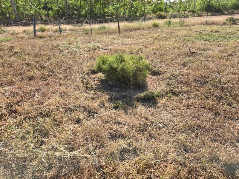 Beautiful Vacant Stand for Sale in Aurora – West Coast - Photo 5