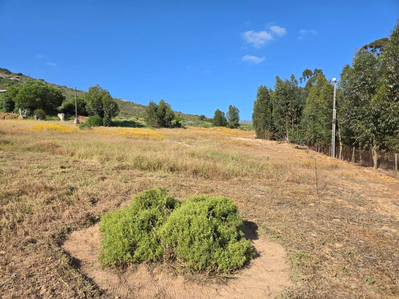 Beautiful Vacant Stand for Sale in Aurora – West Coast - Photo 4