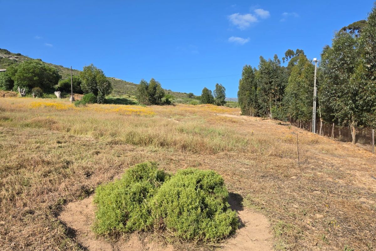Beautiful Vacant Stand for Sale in Aurora – West Coast - Photo 4
