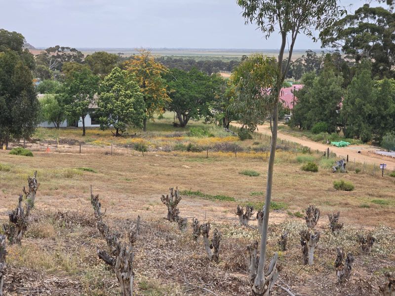 Beautiful Vacant Stand for Sale in Aurora – West Coast - Photo 7