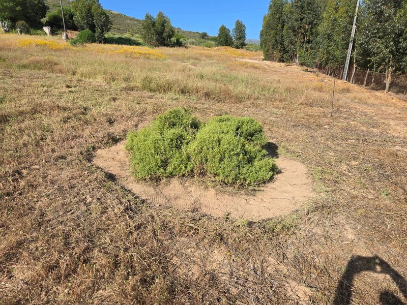 Beautiful Vacant Stand for Sale in Aurora – West Coast - Photo 6