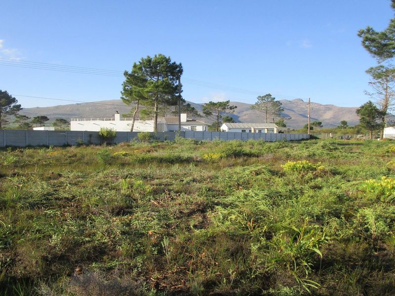 A QUIET LIFESTYLE FOR NATURE LOVERS - THE STAND HAS JUST BEEN CLEANED - Photo 1