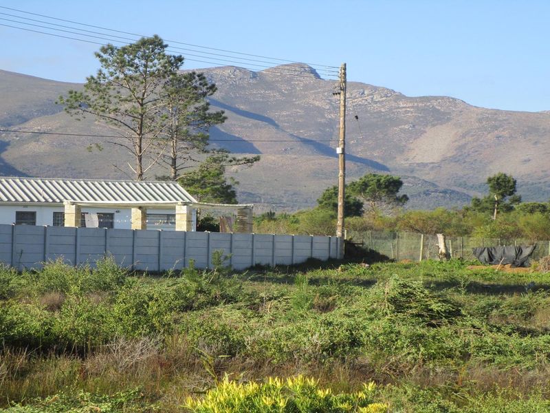 A QUIET LIFESTYLE FOR NATURE LOVERS - THE STAND HAS JUST BEEN CLEANED - Photo 2