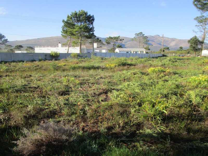 A QUIET LIFESTYLE FOR NATURE LOVERS - THE STAND HAS JUST BEEN CLEANED - Photo 5