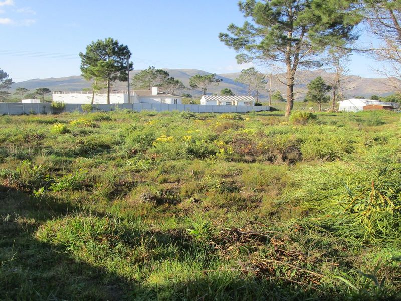 A QUIET LIFESTYLE FOR NATURE LOVERS - THE STAND HAS JUST BEEN CLEANED - Photo 6