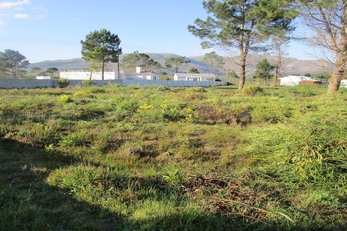 A vacant residential plot featuring natural vegetation, mature trees, and a perimeter wall with mountain views in the background.