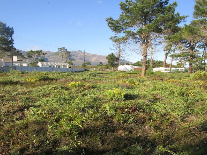 A QUIET LIFESTYLE FOR NATURE LOVERS - THE STAND HAS JUST BEEN CLEANED - Photo 9