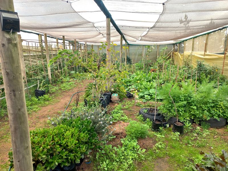Smallholding for Sale in Trekoskraal near Paternoster - Photo 5