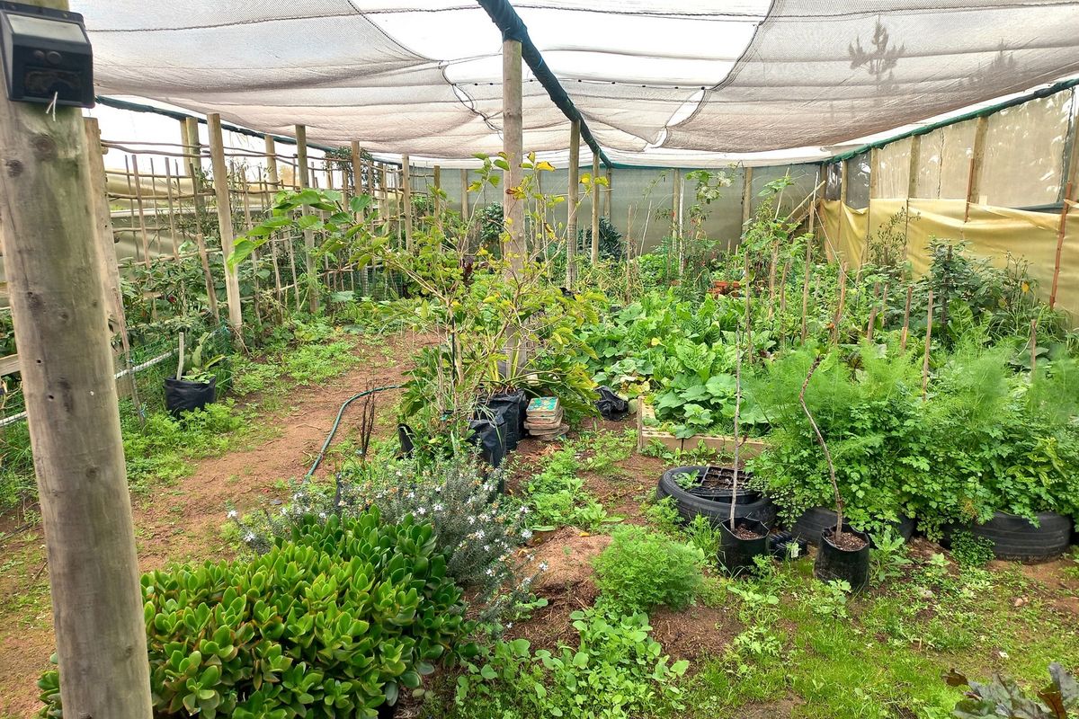 Smallholding for Sale in Trekoskraal near Paternoster - Photo 5