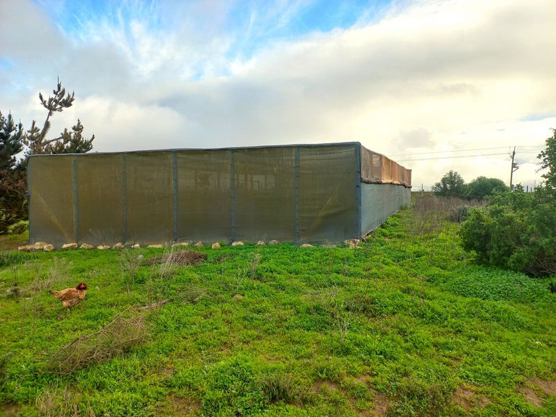 Smallholding for Sale in Trekoskraal near Paternoster - Photo 4