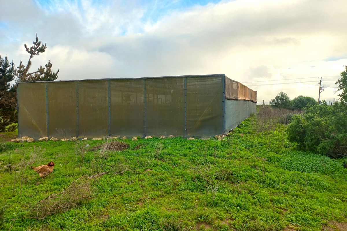 Smallholding for Sale in Trekoskraal near Paternoster - Photo 4