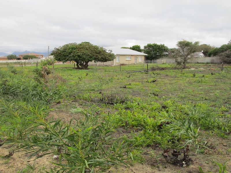 GRAB THIS GOLDEN OPPORTUNITY - LARGE VACANT STAND - Photo 10
