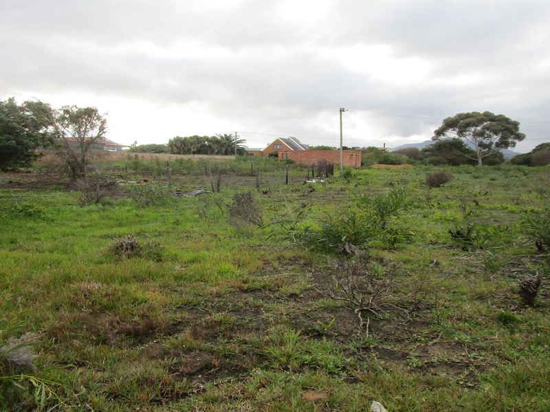 GRAB THIS GOLDEN OPPORTUNITY - LARGE VACANT STAND - Photo 7